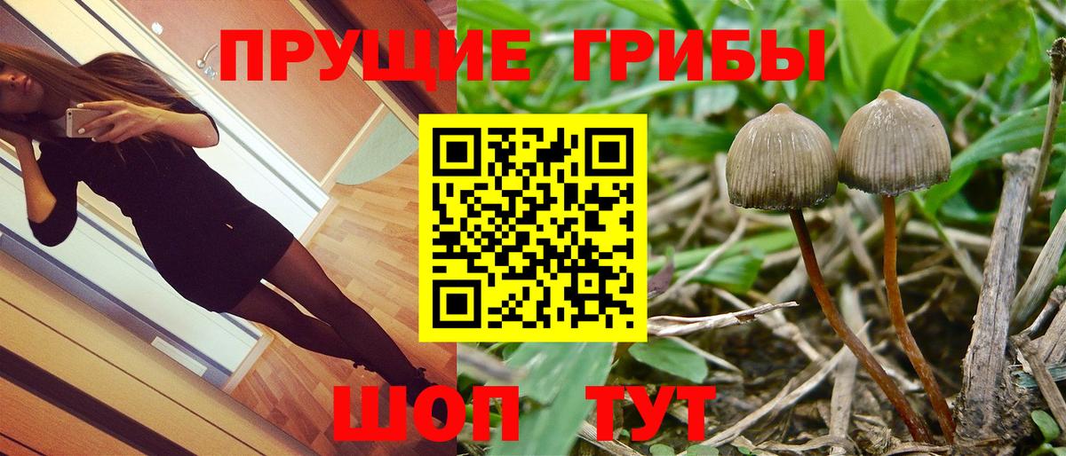 Искитим  Псилоцибиновые грибы мухоморы  где купить   Псилоцибиновые грибы ЛСД  Вход с VPN 